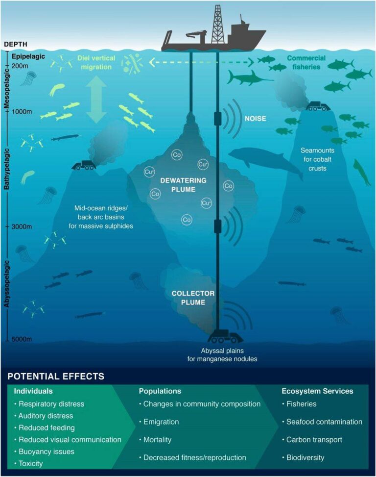 Deep Seabed Mining (DSM) in Bangladesh and the Bay of Bengal: Challenges and Opportunities