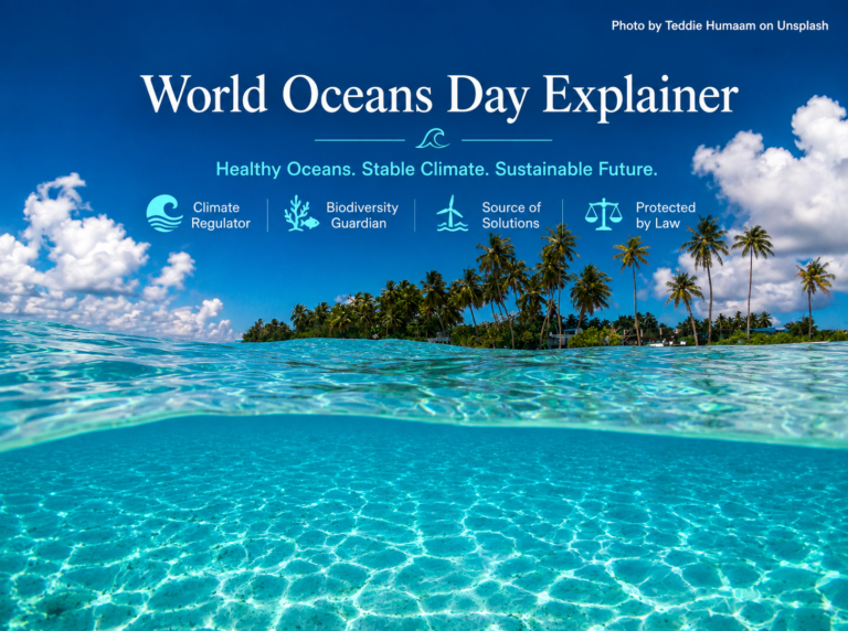 Reimagining the Ocean: From Resource to Climate Partner